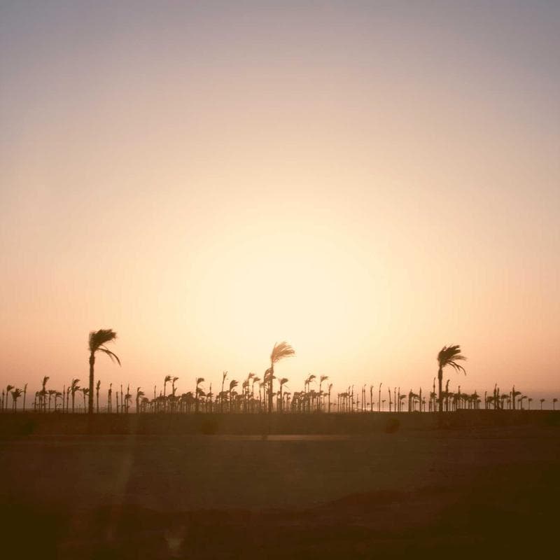 Individuelles Comic-Porträt