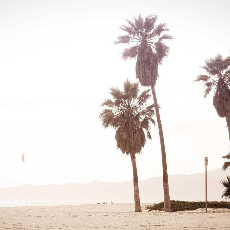 Storia d'Avventura Principessa 2