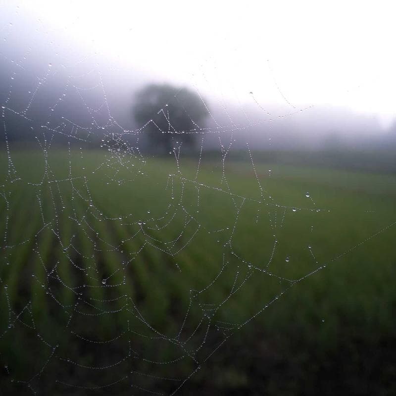 Ritratto Famiglia Acquerello 2