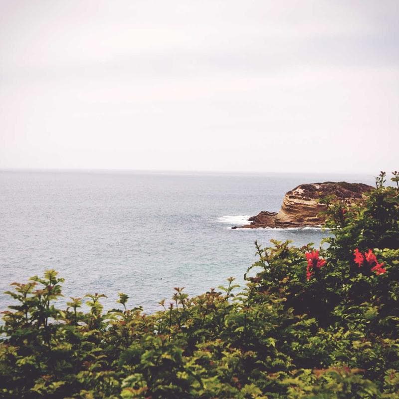 Puzzle Foto Personalizzato 500 Pezzi 2